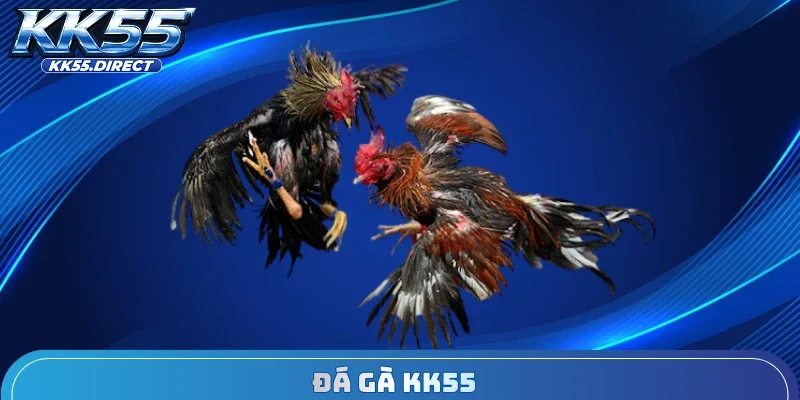 Đá Gà KK55