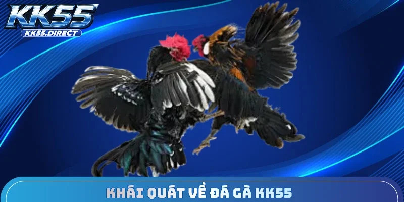 Khái quát về đá gà KK55